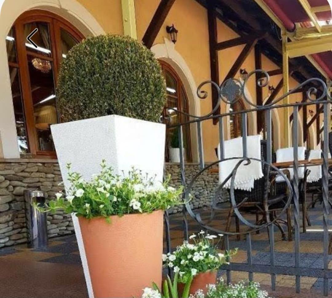 U Pietrzakow Hotel Zielonka  Bagian luar foto